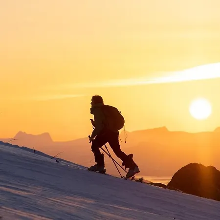 W Workspace Walk To D14d * Narvik