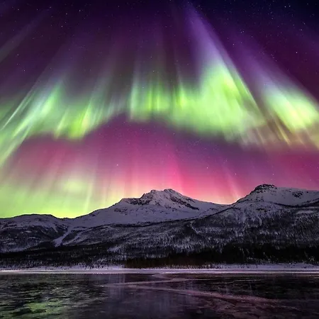 Апартаменты 1br D14d *