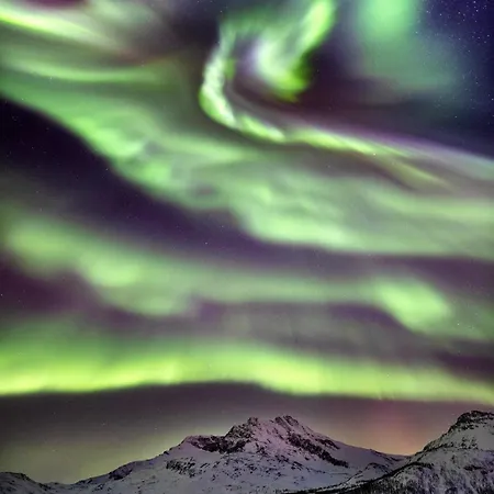 1br D14d Апартаменты *