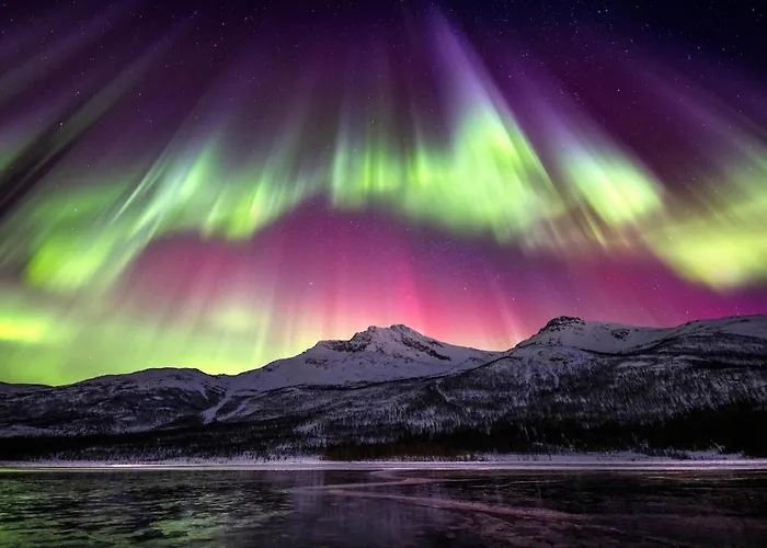 Apartamento 1br D14d *