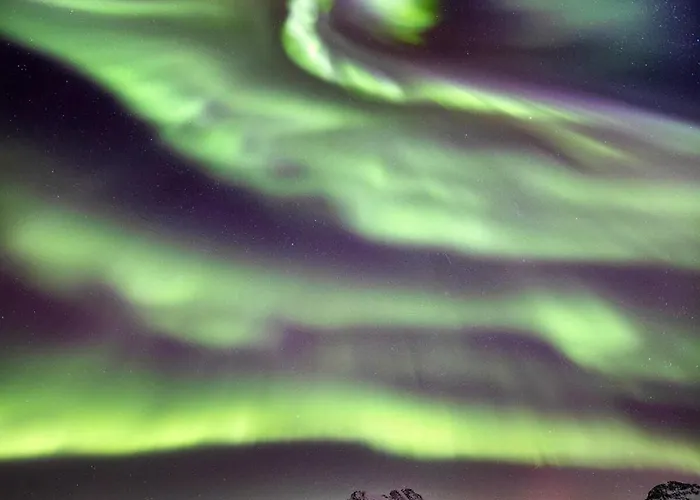 1br D14d Apartamento *